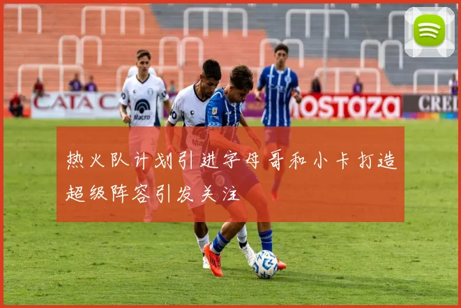 热火队计划引进字母哥和小卡打造超级阵容引发关注