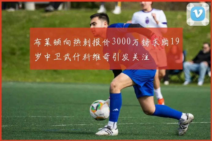 布莱顿向热刺报价3000万镑求购19岁中卫武什科维奇引发关注